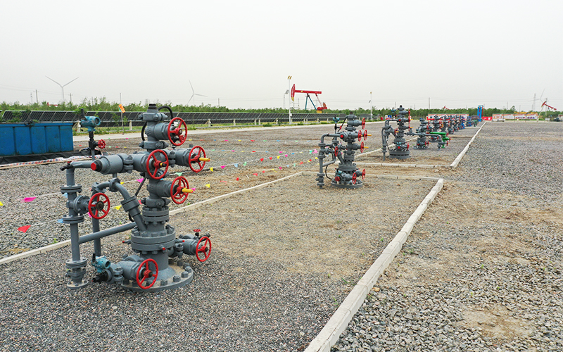 潜油直驱螺杆泵